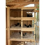 Image 3 of customer photos