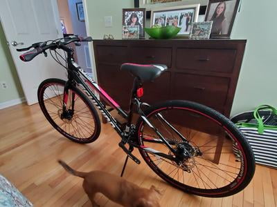 schwinn kempo hybrid