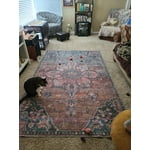 Image 1 of customer photos