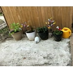 Image 4 of customer photos