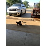 Image 1 of customer photos