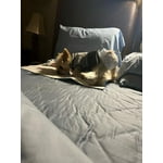 Image 6 of customer photos