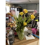 Image 1 of customer photos