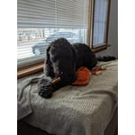 Image 4 of customer photos