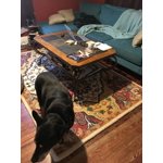 Image 3 of customer photos