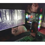 Image 2 of customer photos