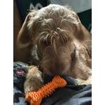 Image 3 of customer photos