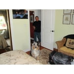 Image 4 of customer photos