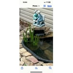 Image 2 of customer photos