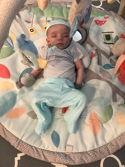 skip hop treetop friends activity gym grey pastel