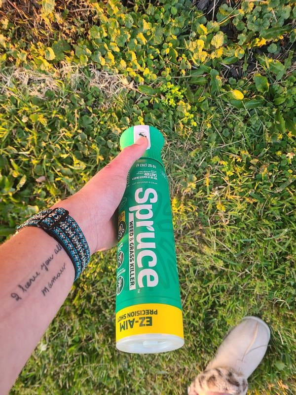Spruce EZ-AIM Weed Killer & Grass Killer Spray 10 oz. - Walmart.com