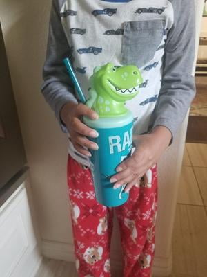 Dino Toddler Tumbler – Classy and Kinda Sassy