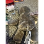 Image 5 of customer photos