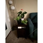 Image 3 of customer photos