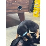 Image 2 of customer photos