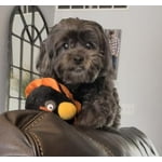 Image 2 of customer photos