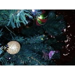 Image 7 of customer photos