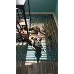 Image 5 of customer photos