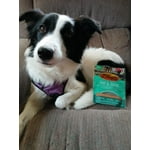 Image 3 of customer photos