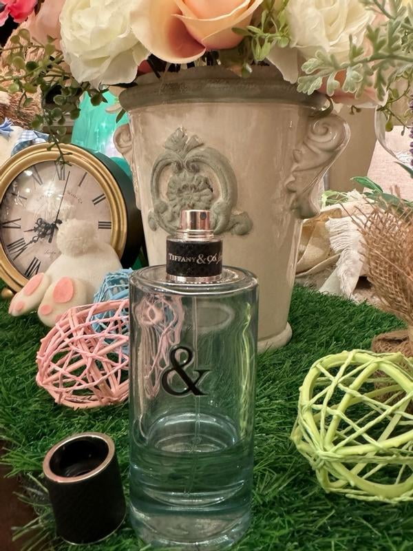 Tiffany & Love Eau de Toilette for Him, 3.0 ounces