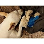 Image 3 of customer photos