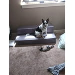 Image 4 of customer photos