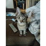 Image 4 of customer photos