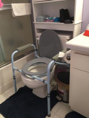 walmart potty chairs for adults