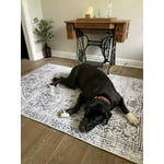 Image 2 of customer photos