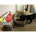 Image 7 of customer photos