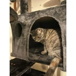 Image 7 of customer photos