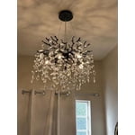 Image 1 of customer photos