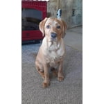 Image 7 of customer photos