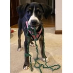 Image 3 of customer photos