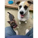 Image 1 of customer photos