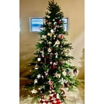 Image 5 of customer photos