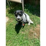 Image 7 of customer photos