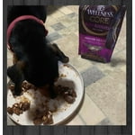 Image 7 of customer photos