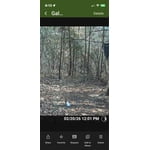 Image 6 of customer photos