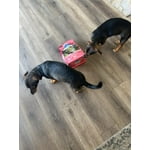 Image 6 of customer photos