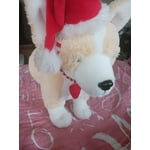 Image 6 of customer photos