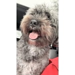 Image 3 of customer photos