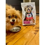 Image 4 of customer photos