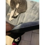 Image 7 of customer photos