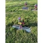 Image 7 of customer photos