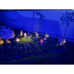 Image 5 of customer photos