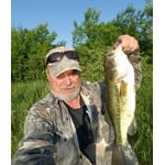 Berkley Gulp! Nightcrawler 6" Biodegradable Soft Bait for Walleye and ...