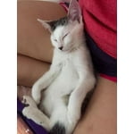 Image 3 of customer photos