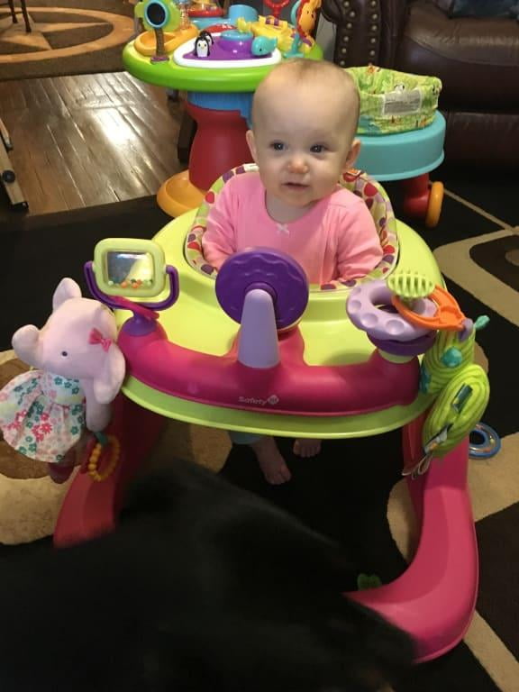 safety first baby walker walmart