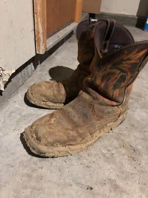 survivor ranger boots